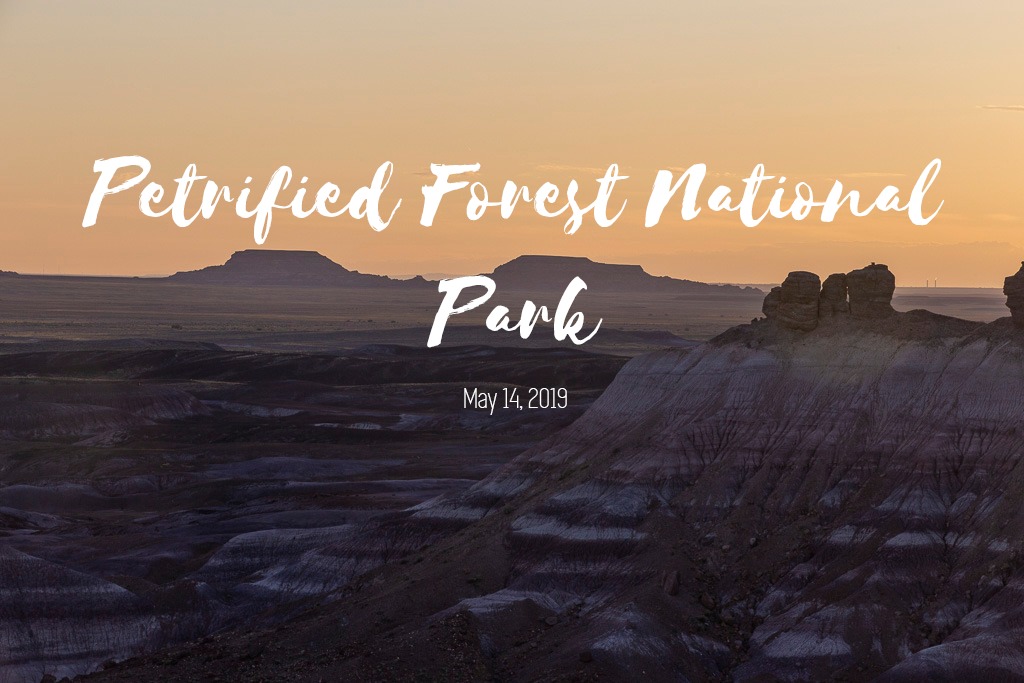 Petrified Forest National Park